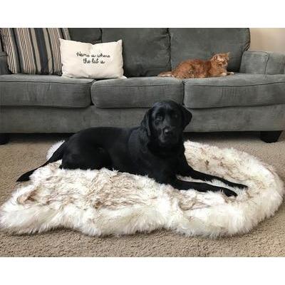 The Ortho Vegan Fur Dog Bed With Memory Foam