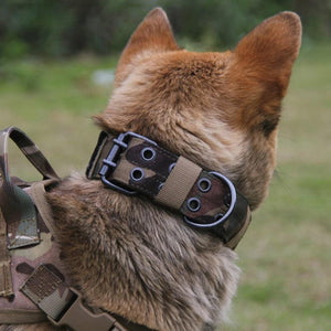 Tactical Comfortable Dog Collars