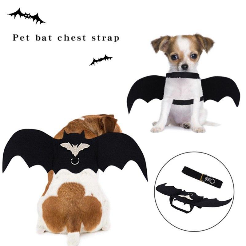 Bat Wing Halloween Dog Costume