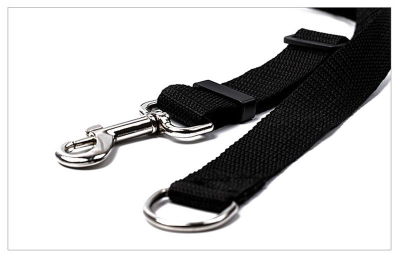 Light Nylon Dog Leash