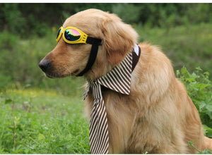 Super Cute Foldable Waterproof Goggles Uv Protection Dogs Sunglasses