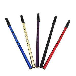 6 Hole Flute D Key Tin Penny Whistle Metal Instrument Woodwind Musical Beginners Accessories