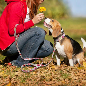 Handmade Personalized Floral Nylon Printed Dog Collar And Leash Sets