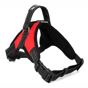 No Pull Soft Adjustable Dog Harness