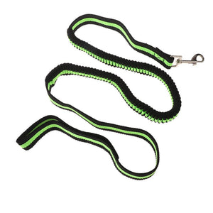 Pet Lead Large Small Dog Leash 1.2 Metre Expandable Bungee Training Rope