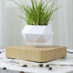 Levitating Pot Bonsai Magnetic Floating Rotating Plant