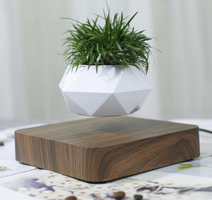 Levitating Pot Bonsai Magnetic Floating Rotating Plant