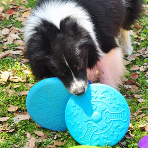 Durable Dog Disc Frisbee For Dogs