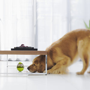 Iq Interactive Food Dispensing Pet Toy