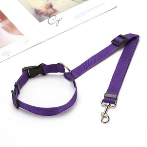 Headrest Seat Belt For Dogs