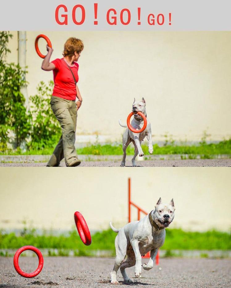 Flying Disc Dog Ring Toy