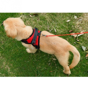 The Hero Harness For Dogs