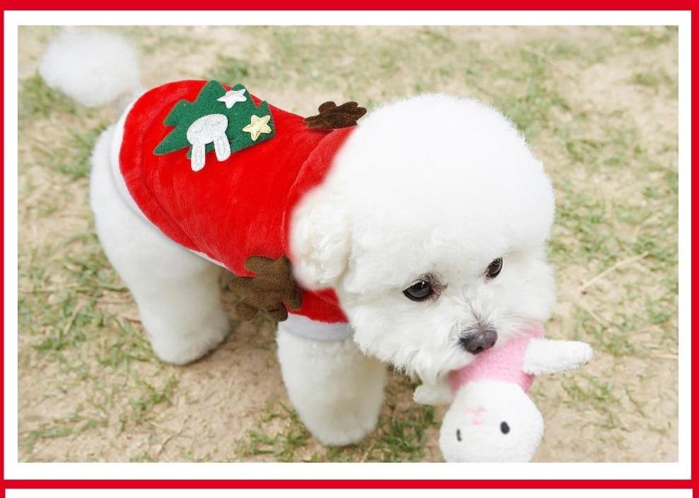 Christmas Dog Coat With Hood