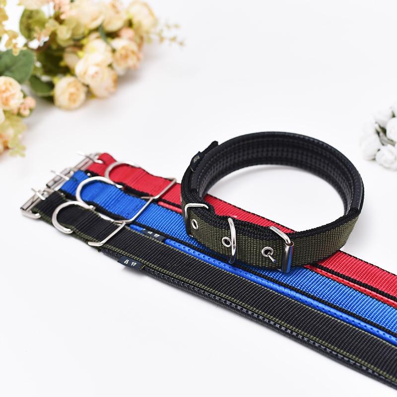 Walk Me Nylon Flat Dog Collar