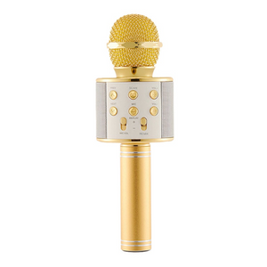 Kids Portable Bluetooth Wireless Karaoke Microphone With Led Lights