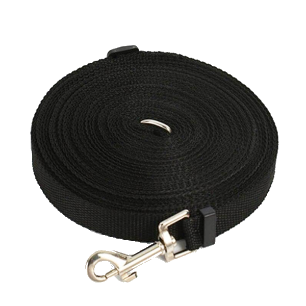 Light Nylon Dog Leash