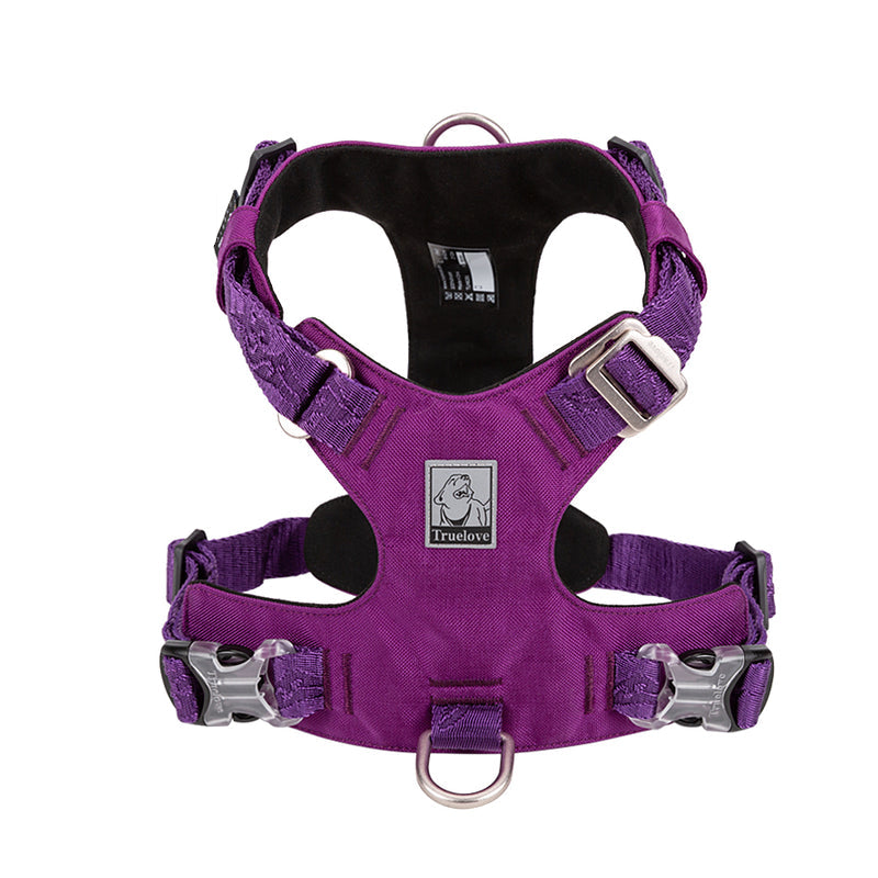 Lightweight Harness Purple