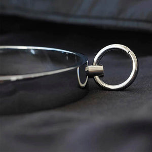 House Of Dasein Locking Metal Collar Bdsm Slave Play Bondage Kink Fetish Restraints