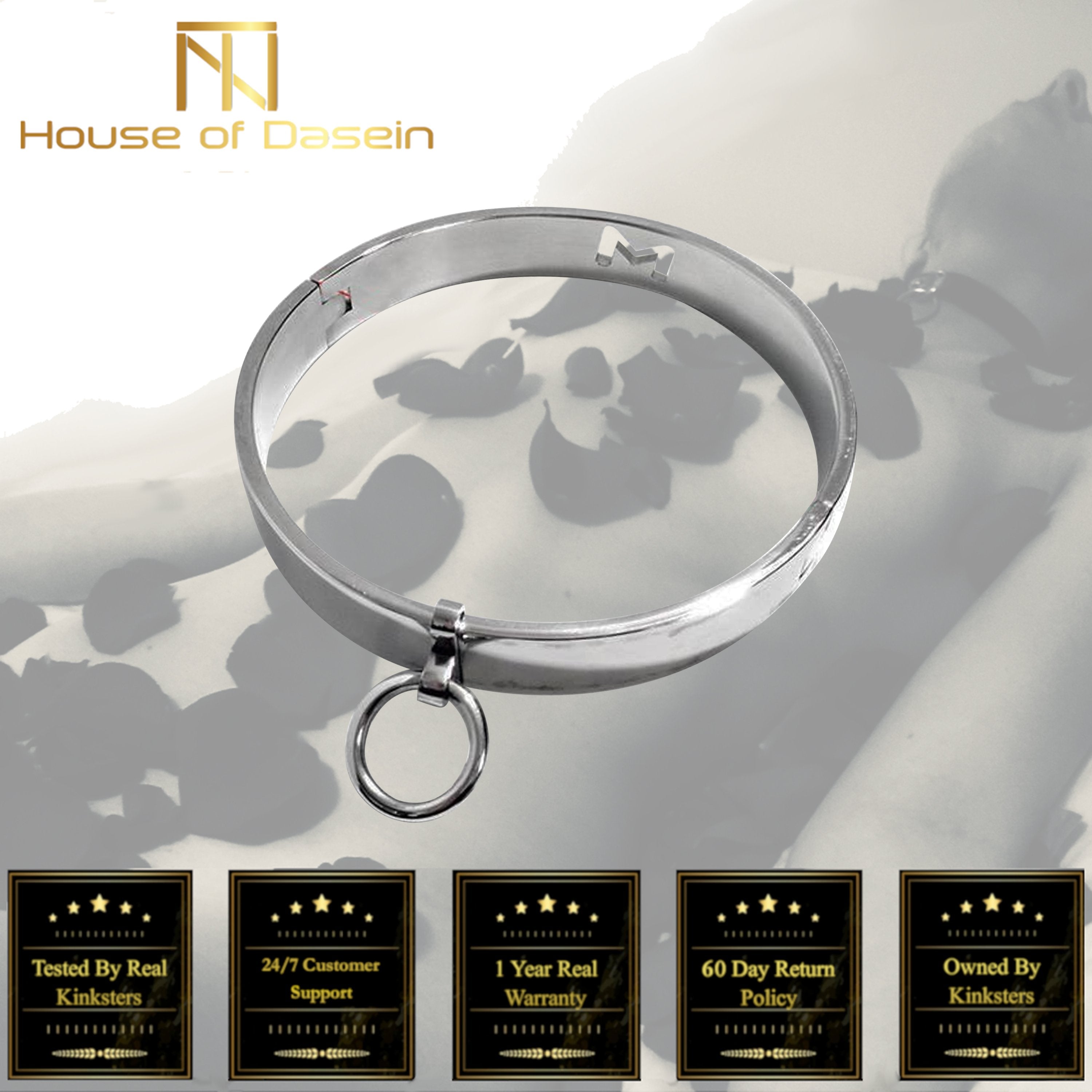 House Of Dasein Locking Metal Collar Bdsm Slave Play Bondage Kink Fetish Restraints