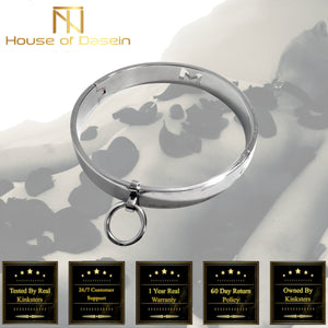 House Of Dasein Locking Metal Collar Bdsm Slave Play Bondage Kink Fetish Restraints