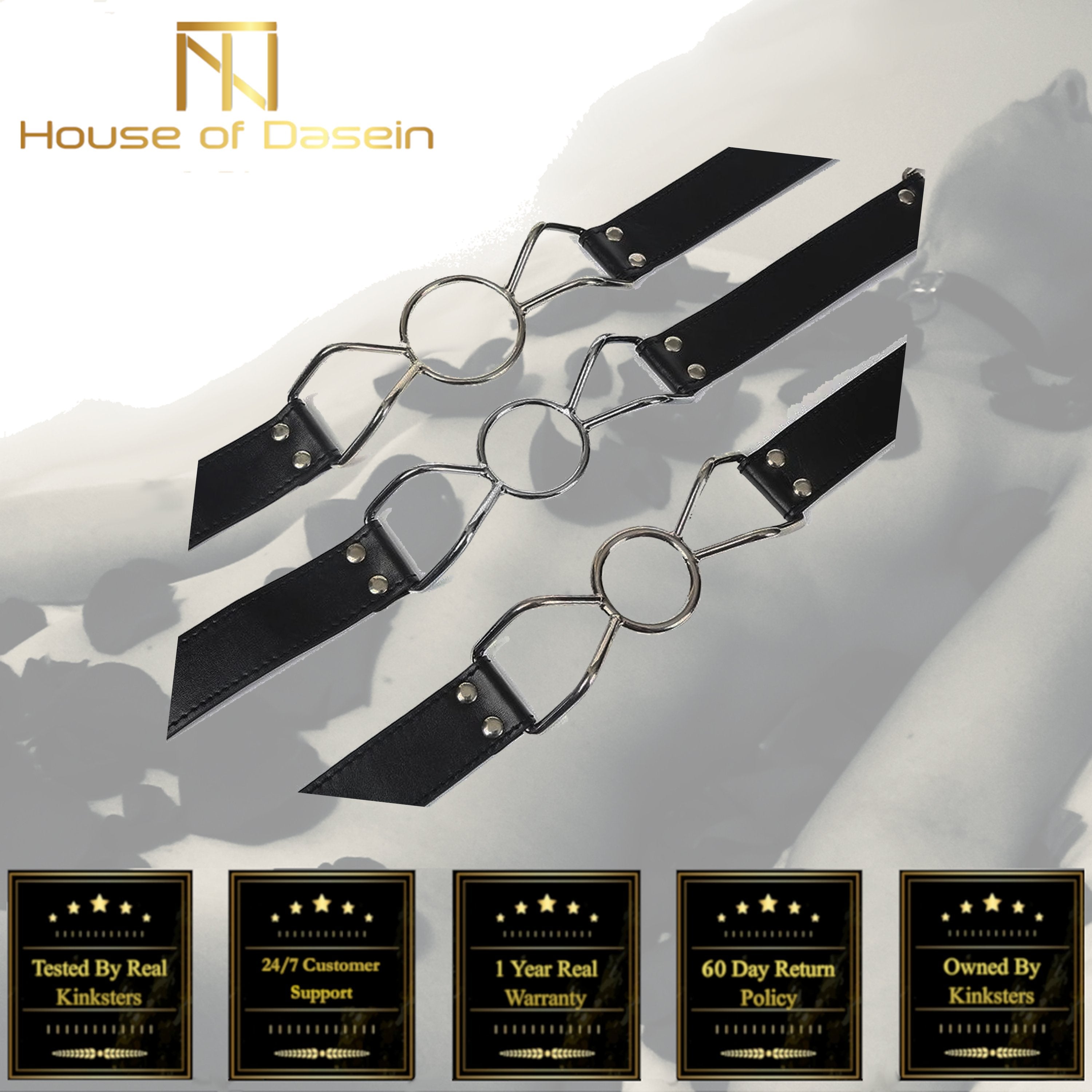 House Of Dasein Metal Open Mouth Ring Gag Bondage Kink Fetish Restraints