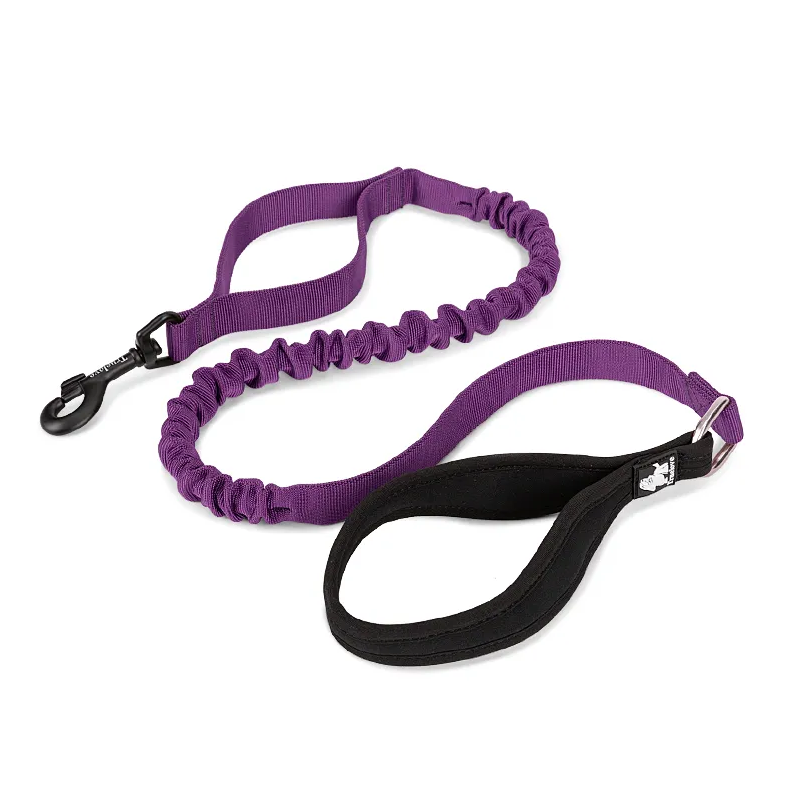 Dog Flexible Neoprene Padded Handle Leash Purple - M