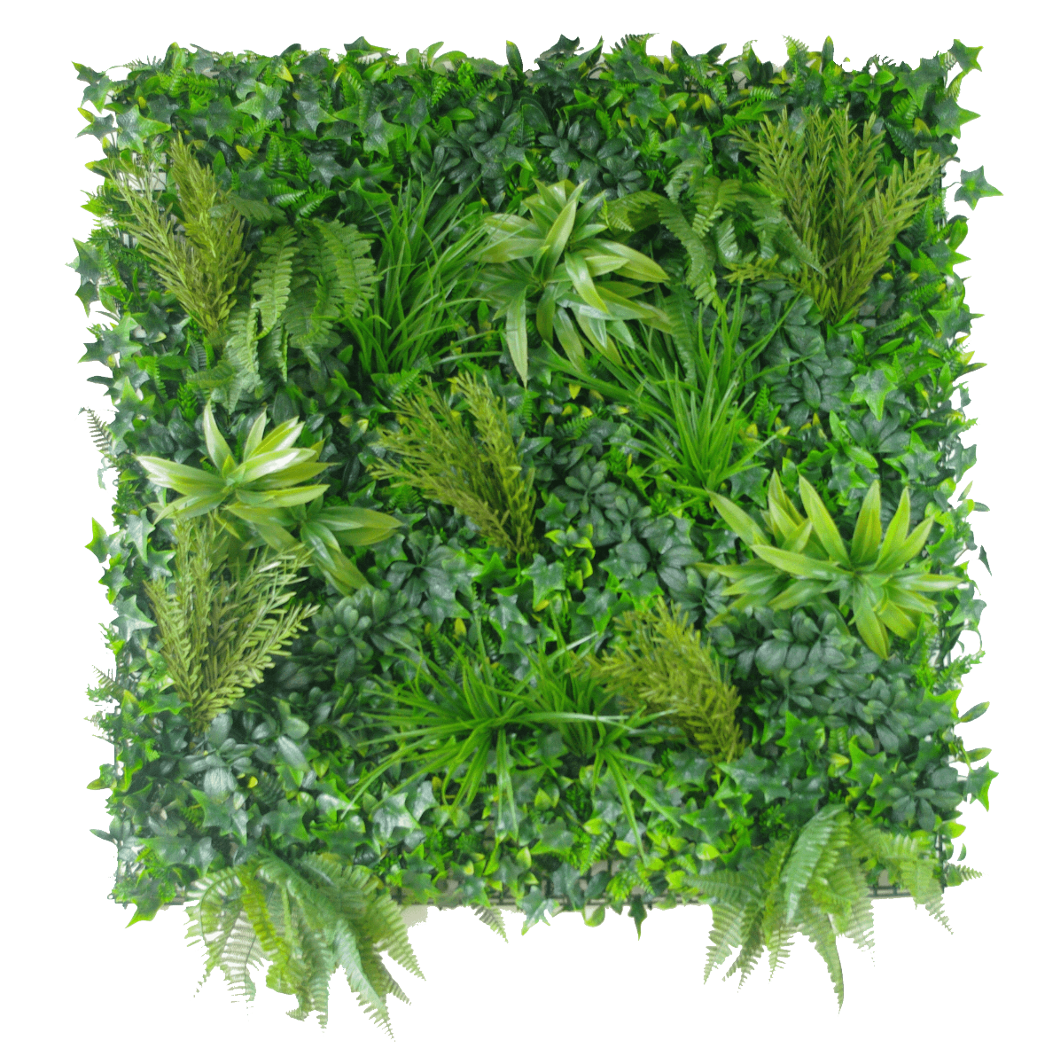 Native Tea Tree Vertical Garden / Green Wall Uv Resistant 100Cm X