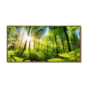 Natural Forest Wall Art Pictures Canvas Painting Landscape Living Room Decor