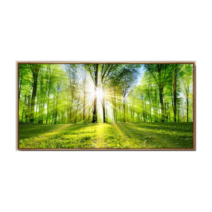 Natural Forest Wall Art Pictures Canvas Painting Landscape Living Room Decor