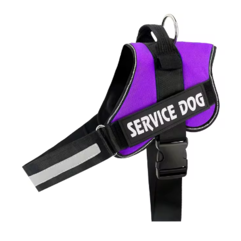 Personalized Dog Reflective 3M Adjustable No-Pull Pet Harness Vest