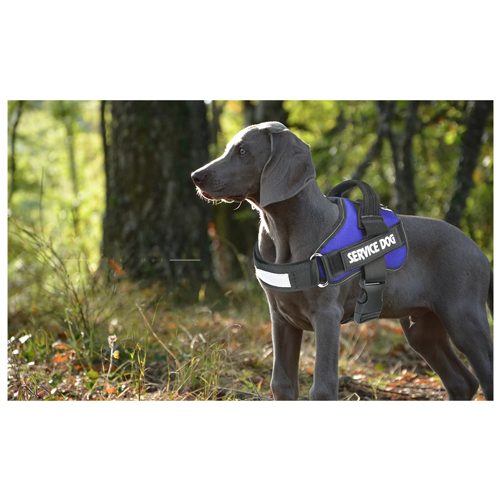 Personalized Dog Reflective 3M Adjustable No-Pull Pet Harness Vest