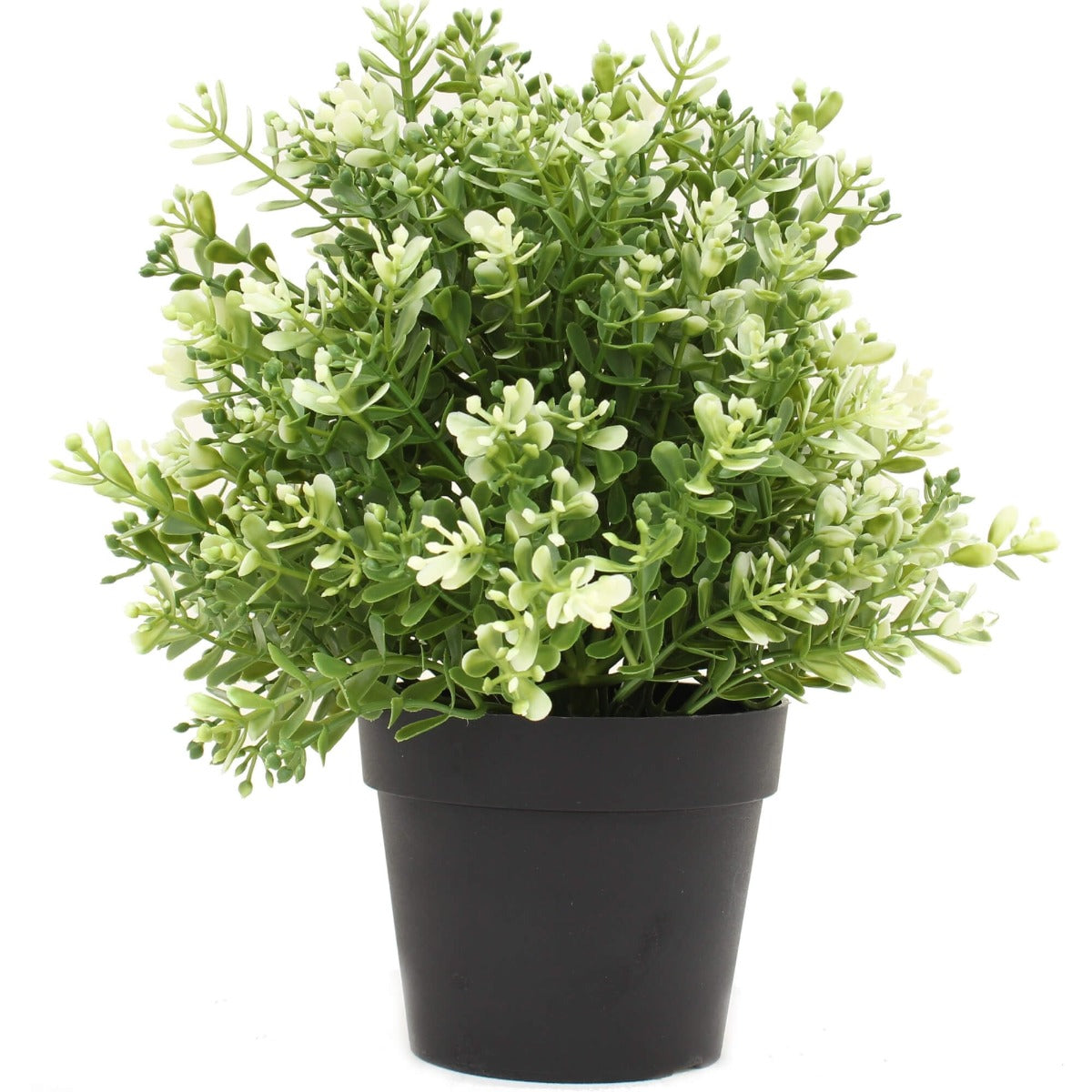 Small Potted Artificial White Jade Plant Uv Resistant 20Cm