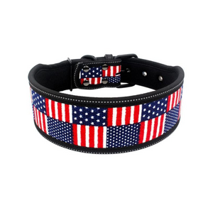 Printed Adjustable Stylish Dog Collars