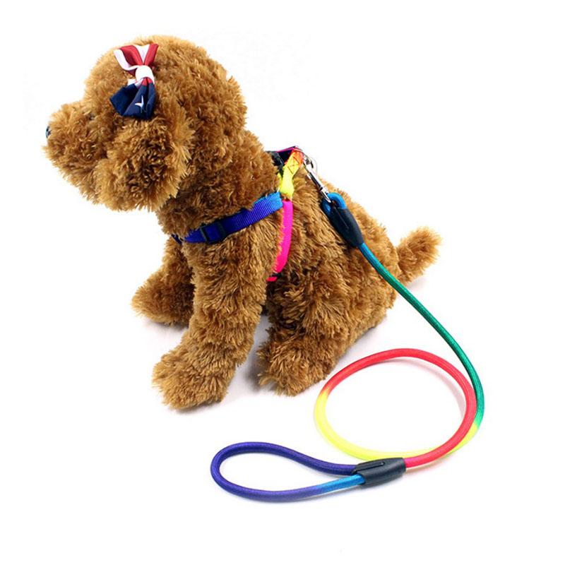 Durable Nylon Rainbow 1.2M Dog Leash Pet Walking Equipment