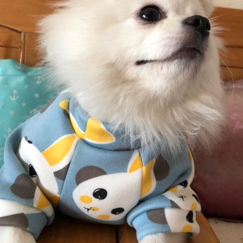 Puppy Pastels Sweater Dog Coat