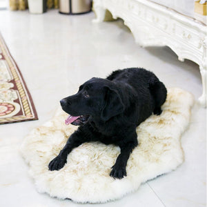 Faux Fur Foam Dog Bed