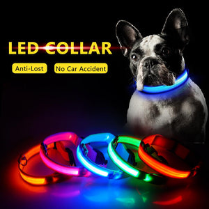 Novelty Safety Usb Charging Led Dog Collar Puppies Walking Light Up