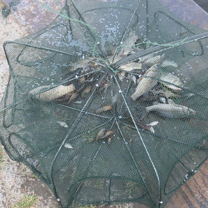 6 / 8 Holes Automatic Fishing Net Cage Portable Foldable Crab Shrimp Trap