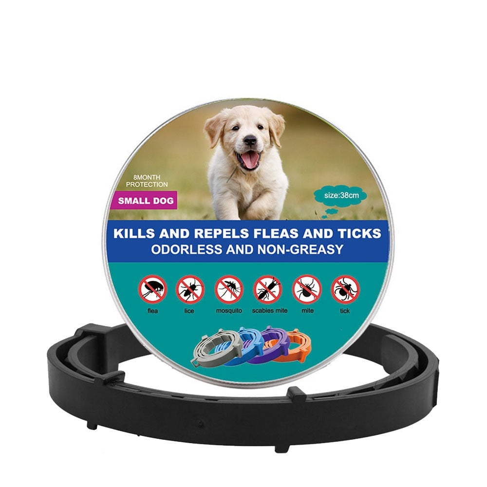 New Pet Dog Cat Collars Veterinary Anti Flea And Tick For Cats Dogs