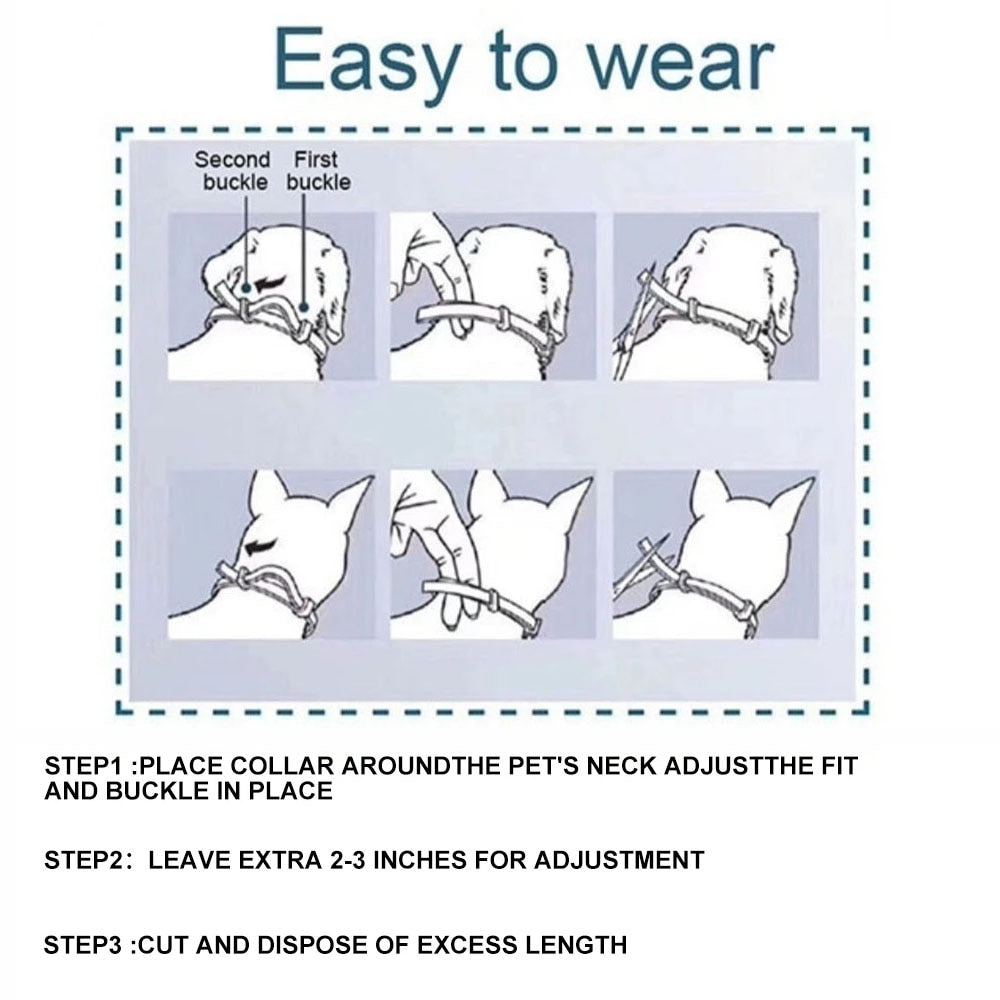 New Pet Dog Cat Collars Veterinary Anti Flea And Tick For Cats Dogs