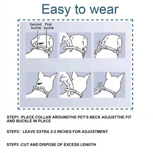 New Pet Dog Cat Collars Veterinary Anti Flea And Tick For Cats Dogs