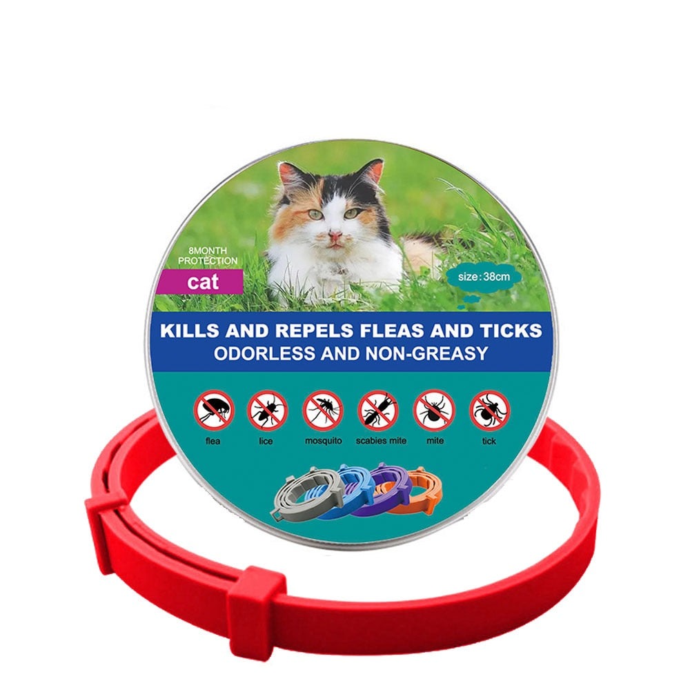 New Pet Dog Cat Collars Veterinary Anti Flea And Tick For Cats Dogs