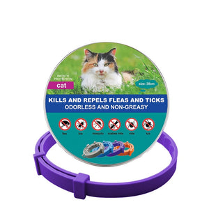 New Pet Dog Cat Collars Veterinary Anti Flea And Tick For Cats Dogs