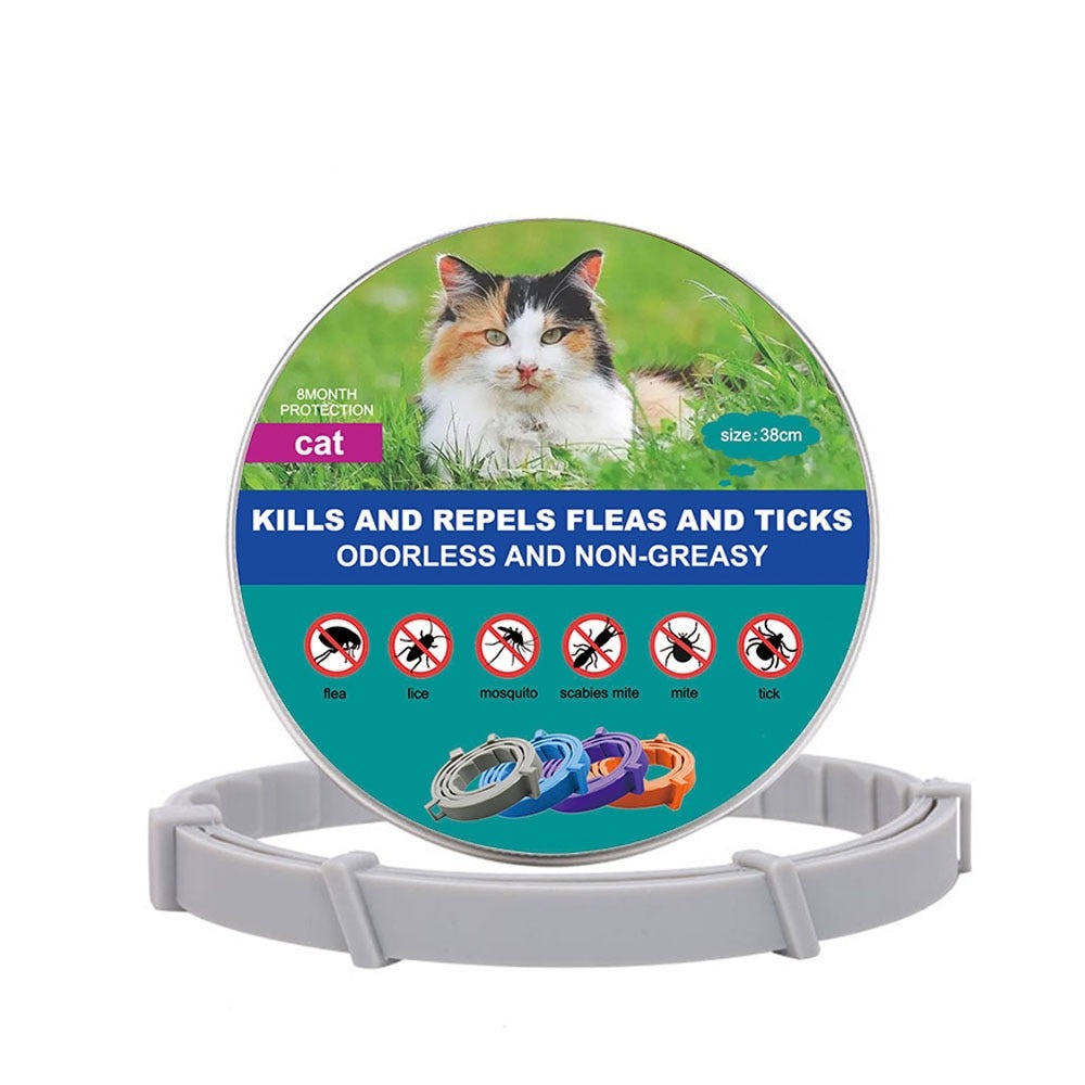 New Pet Dog Cat Collars Veterinary Anti Flea And Tick For Cats Dogs