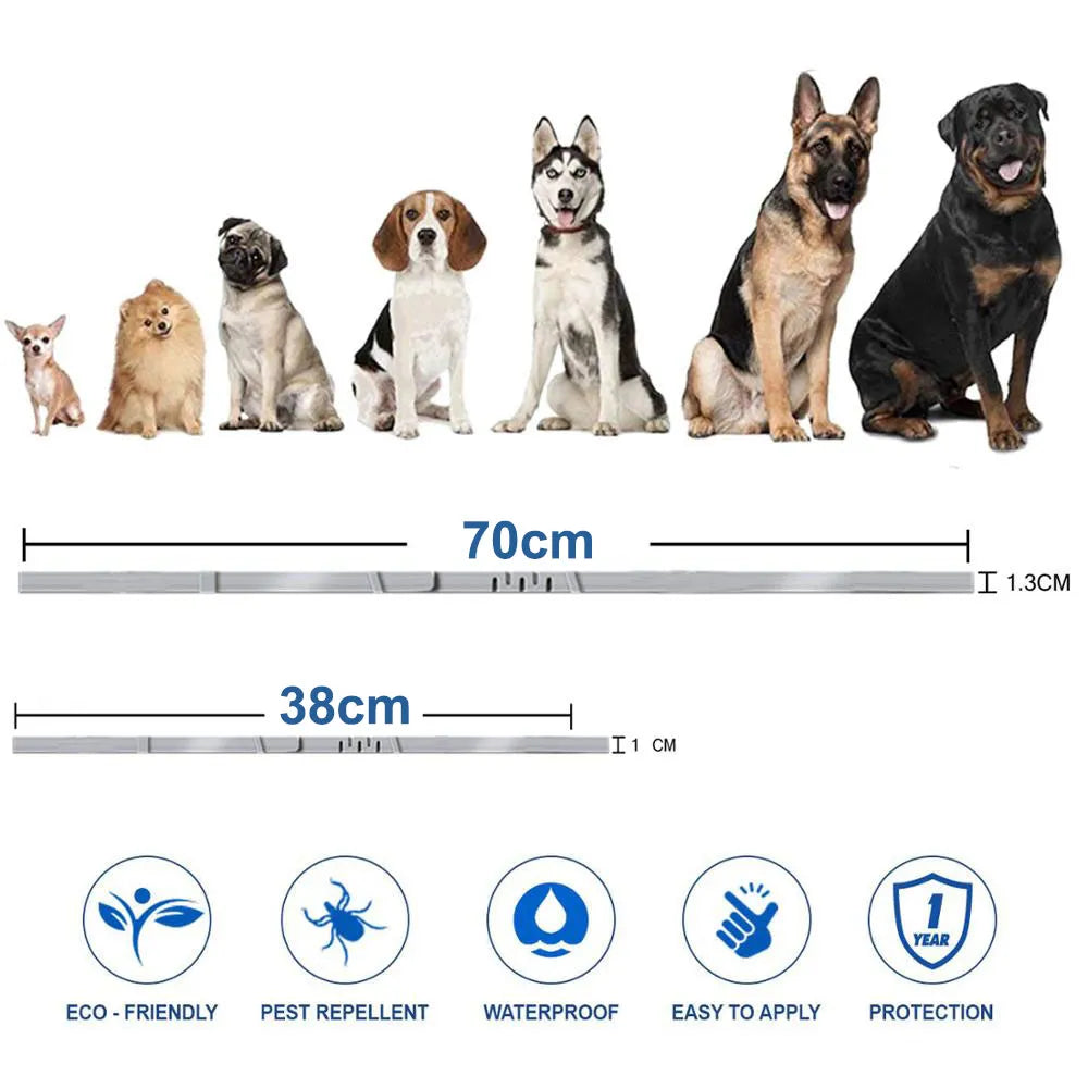 New Pet Dog Cat Collars Veterinary Anti Flea And Tick For Cats Dogs