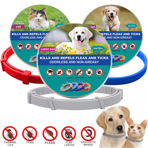 New Pet Dog Cat Collars Veterinary Anti Flea And Tick For Cats Dogs