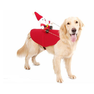 Santa's Sleigh Christmas Dog Costume