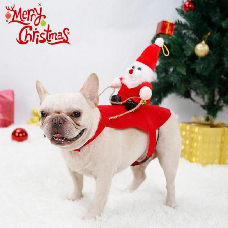 Santa's Sleigh Christmas Dog Costume