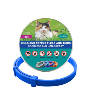 New Pet Dog Cat Collars Veterinary Anti Flea And Tick For Cats Dogs