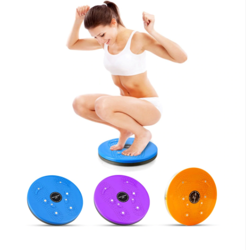 Twist Disc Home Gym Fitness Balance Board 360 Degree Spinning Plate